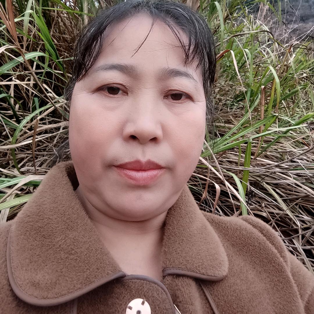 刘分