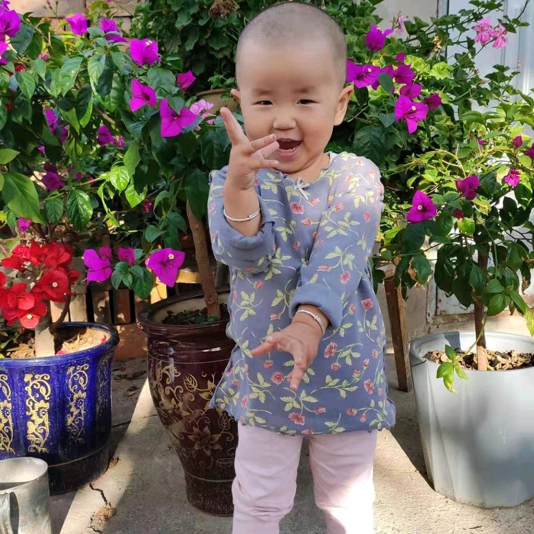林中之鸟