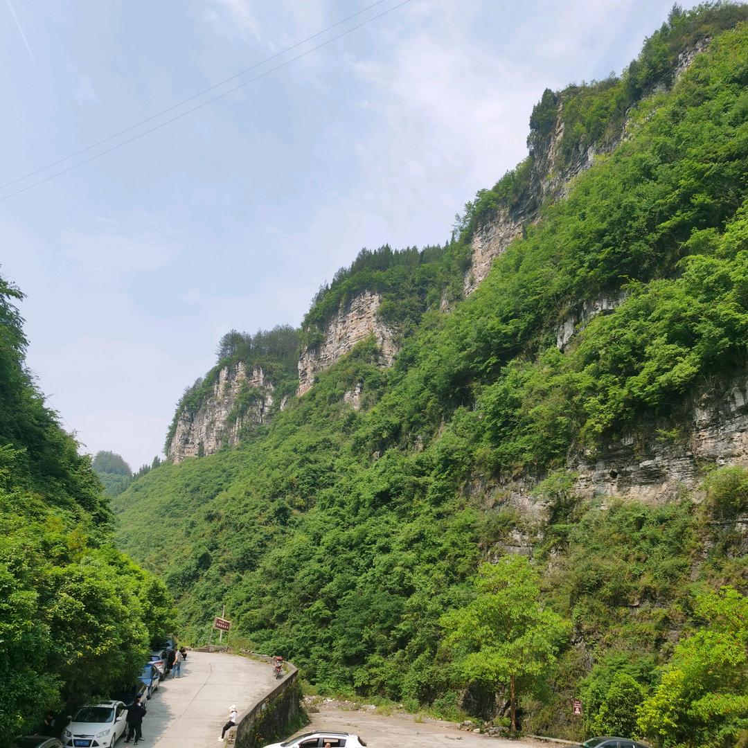 雪儿新晃电信通讯顾问