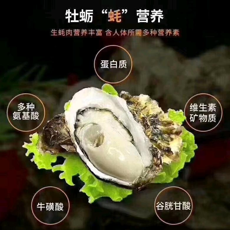 禹州蚝想吃、烤生蚝花甲粉，教学员