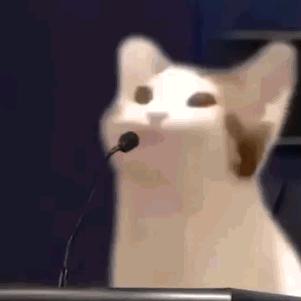 伊什塔尔的裤衩