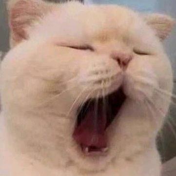 衡阳市南岳区都市女孩理发店