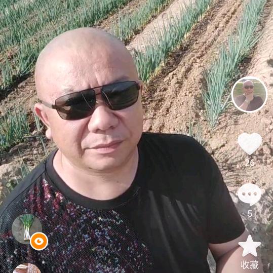 大葱歌