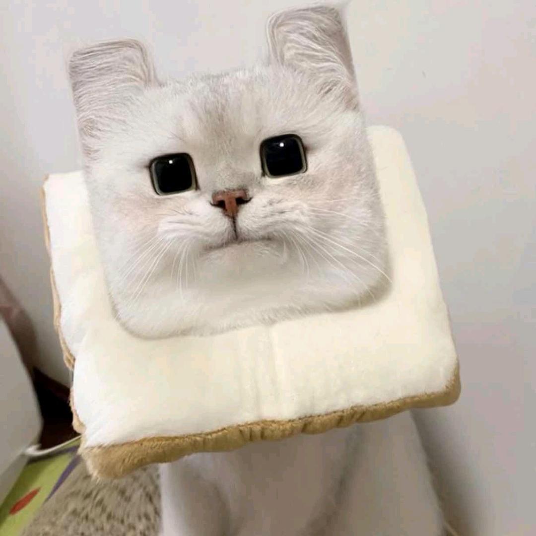 sn