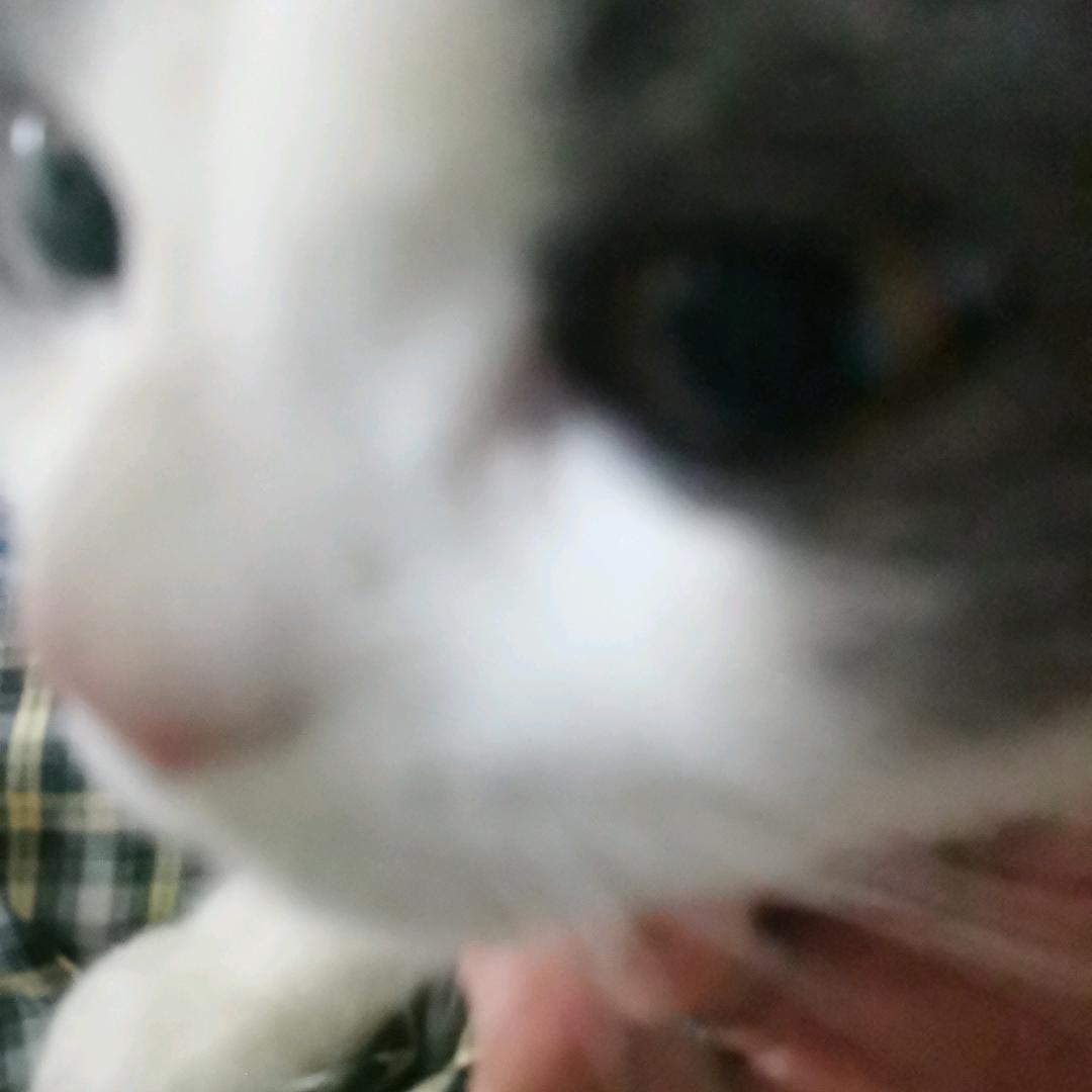 @如果可以再回到从前@