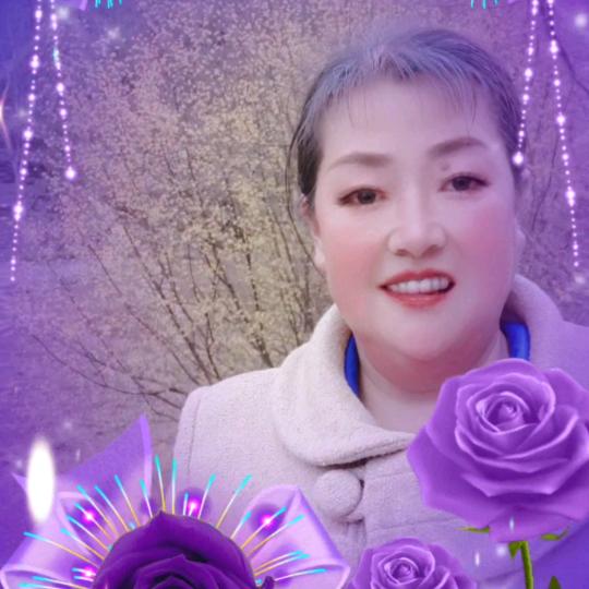 芝绒
