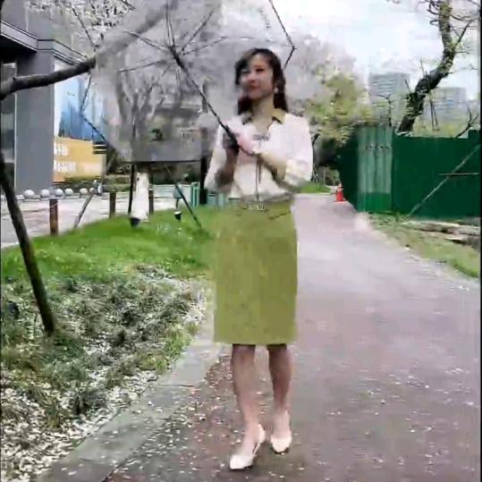 黔芝灵