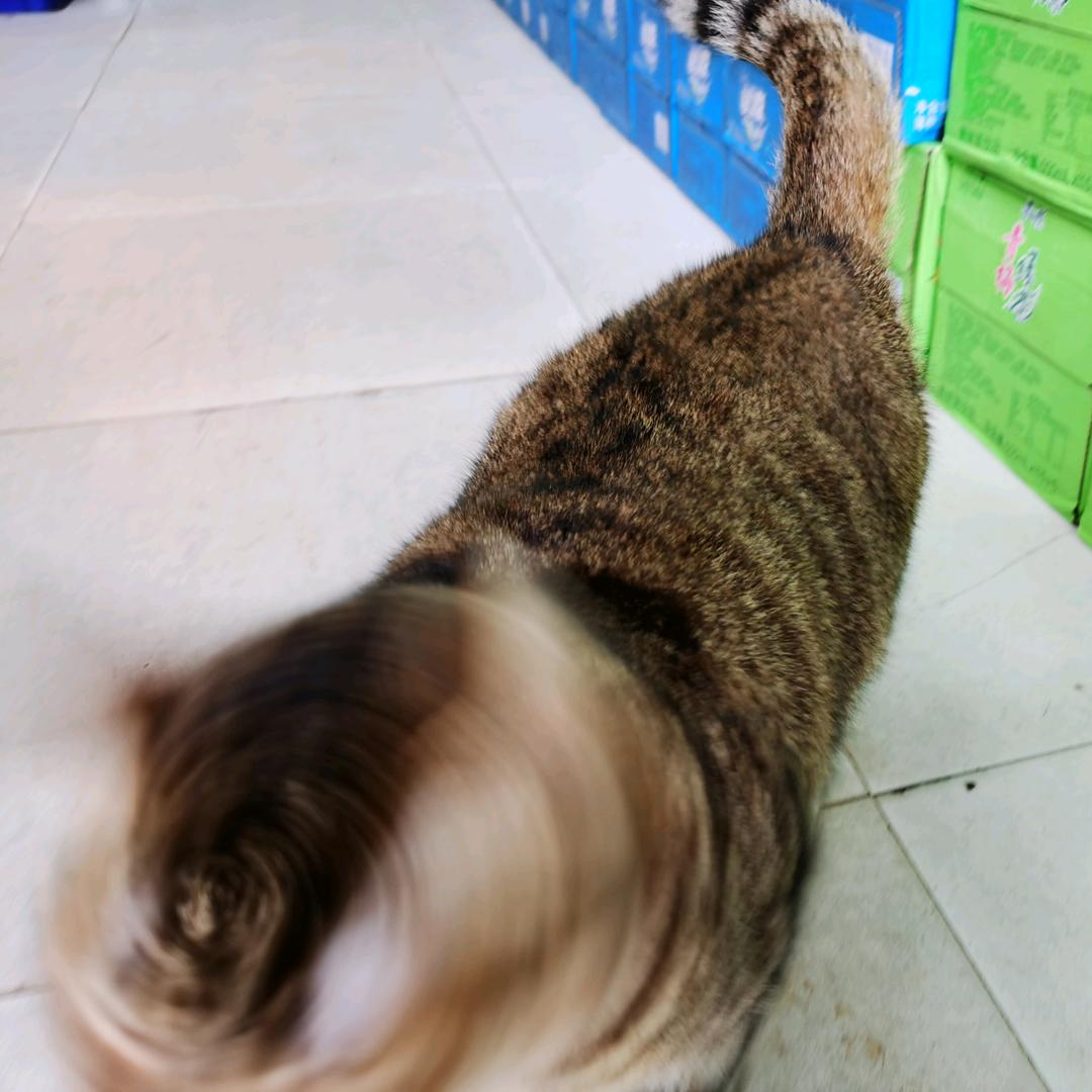 拿碗来呀