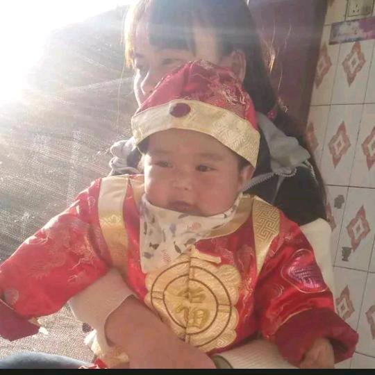 云南黄金甘蔗