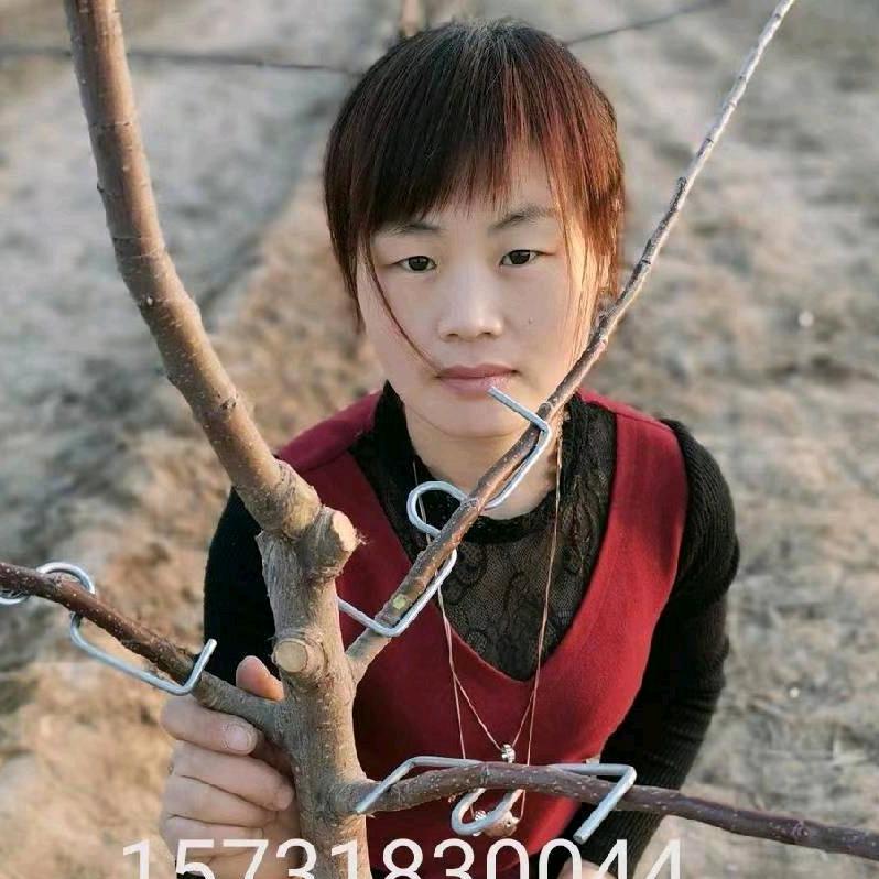 拉枝器鑫枝园林工具经营部