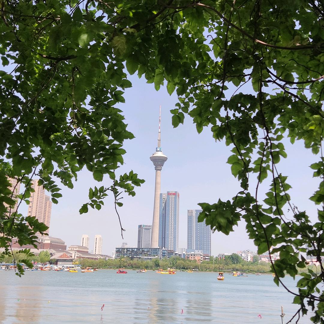 阳光明媚~