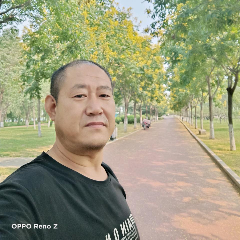 东风泽哥