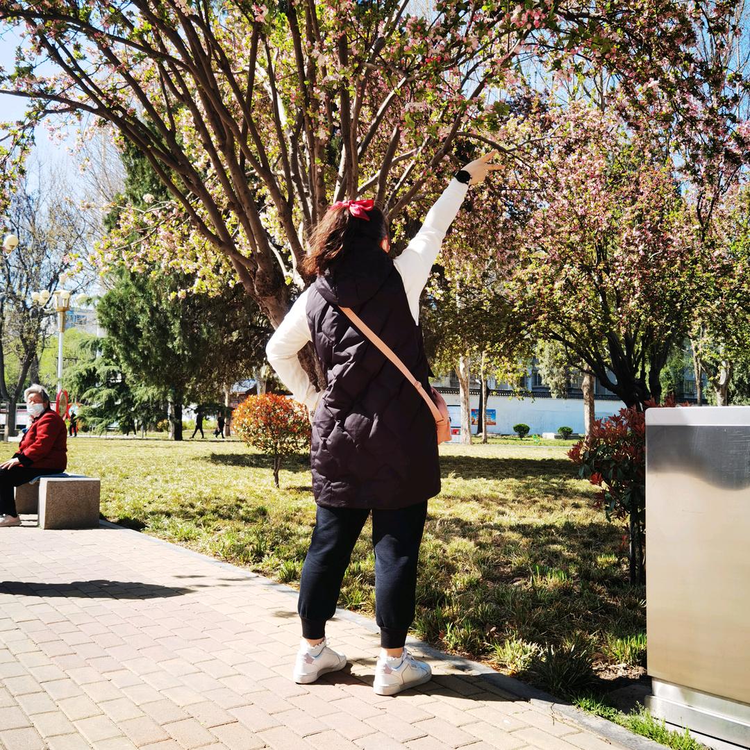 彩虹（关注必回）