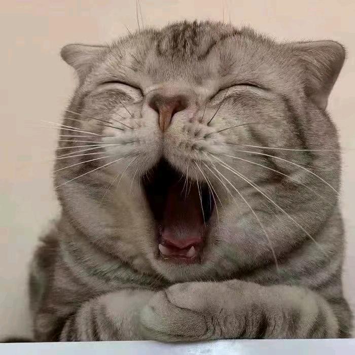 😬ㅤ