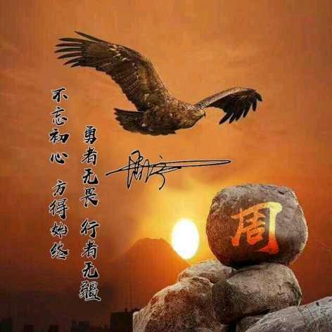 蓝天猛禽🕊️——🕊️黄帝