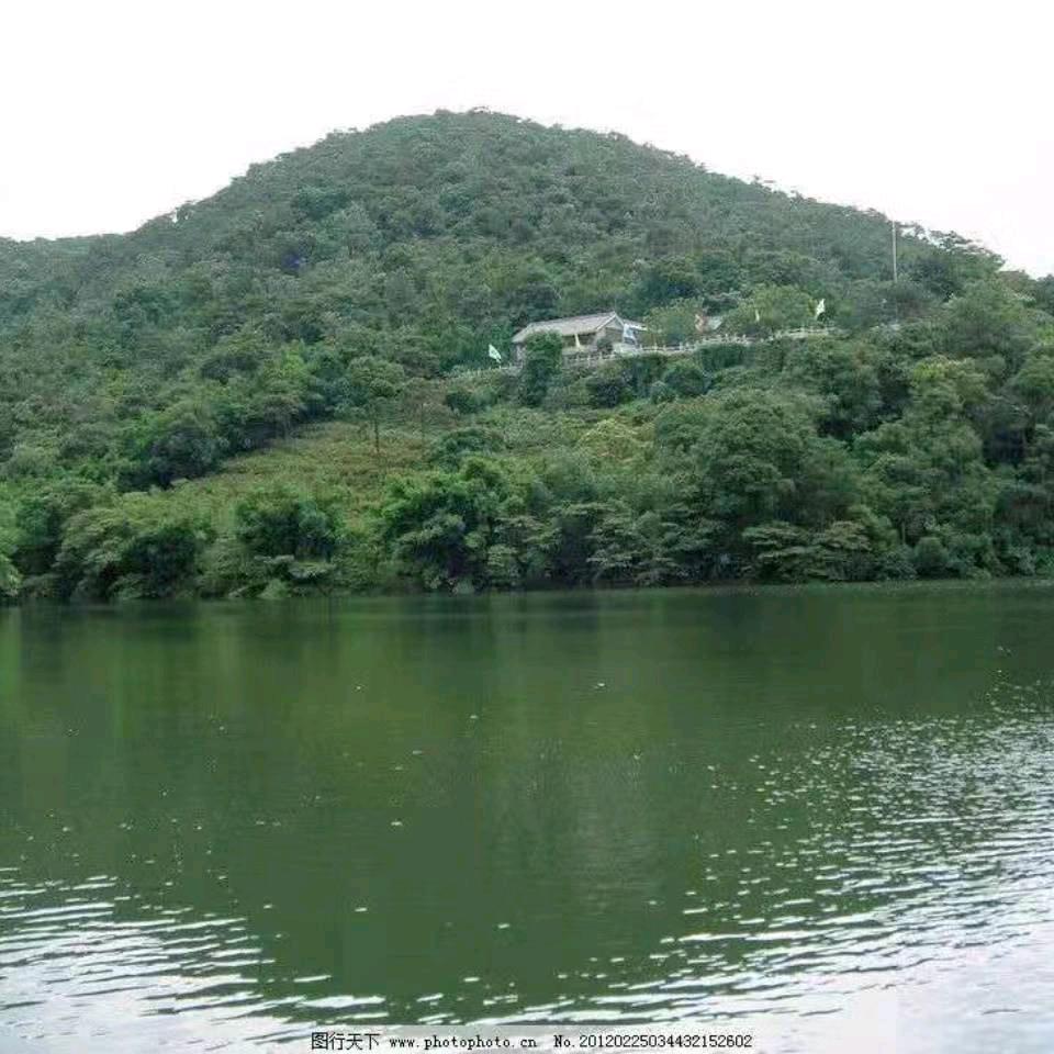 单身，78年的马