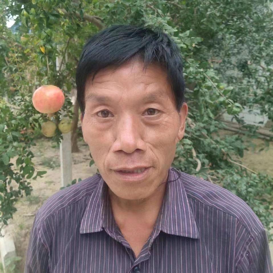 河阴好石榴
