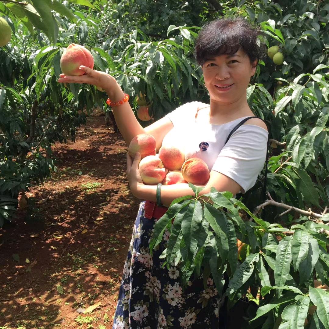 秋香521  (每天 21:50分开播)