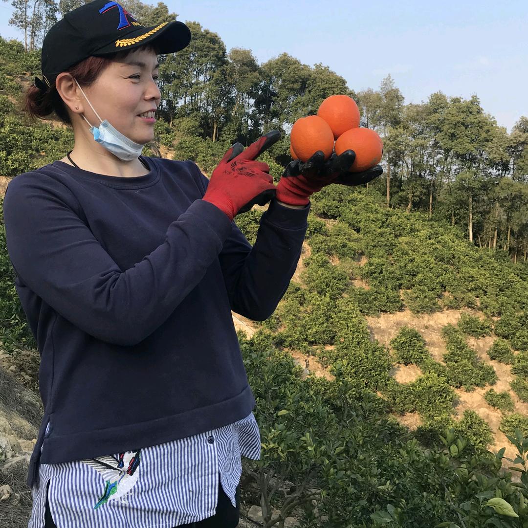 美芳农庄