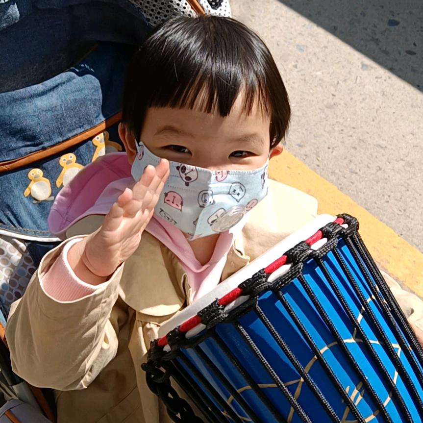 太阳花