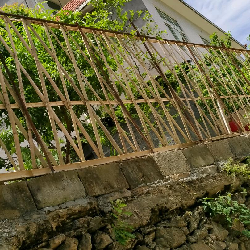 谁说女子不如男