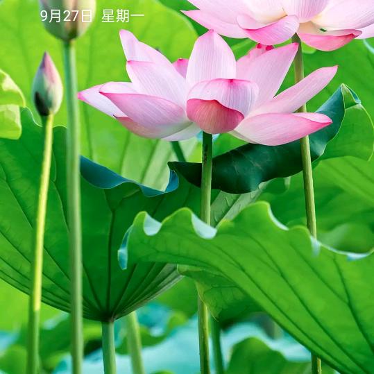 脾气决定命运。