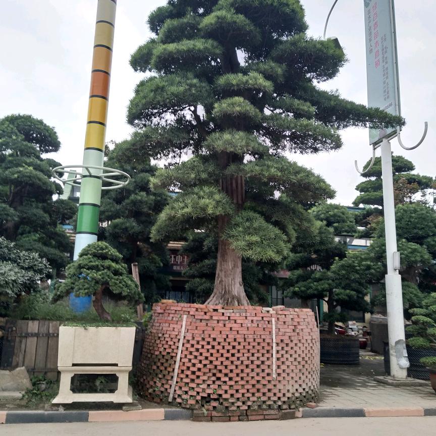 爱上钓魚的小张