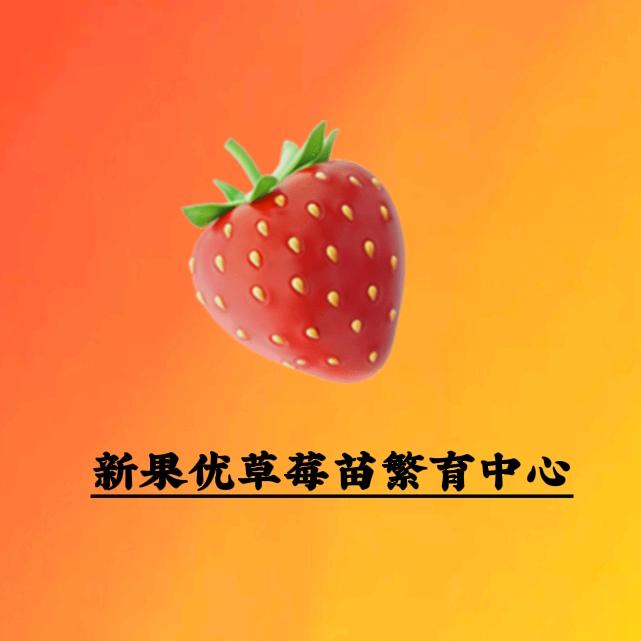 草莓苗繁育中心(新果优)
