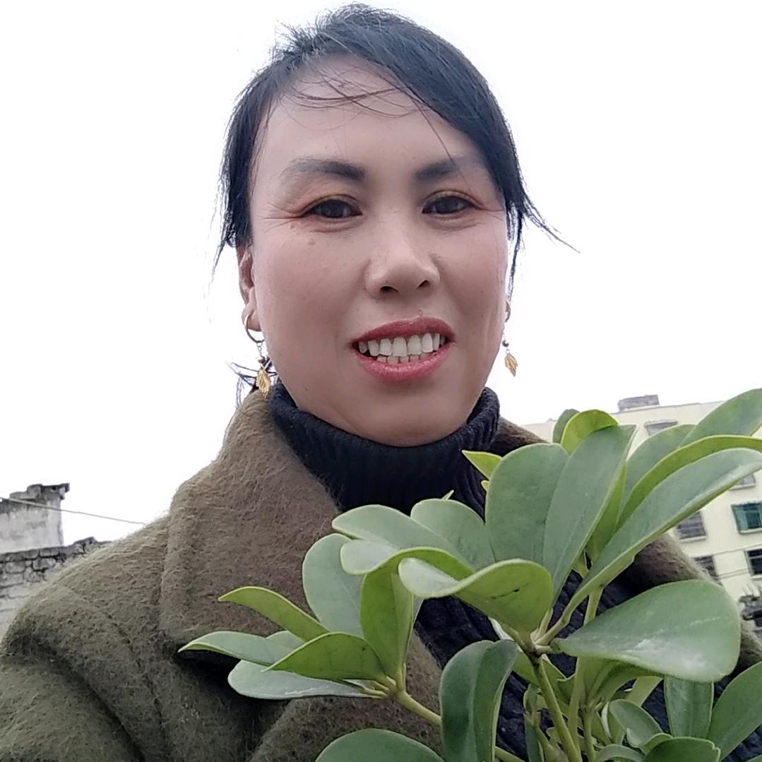 岁月.