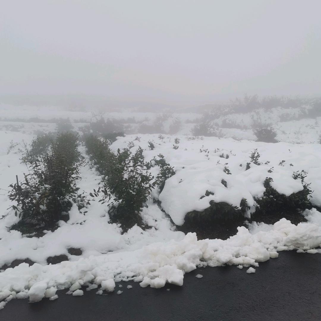 「9:/※※kInuk7wRmr8※※