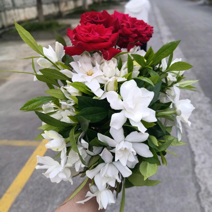 小张张