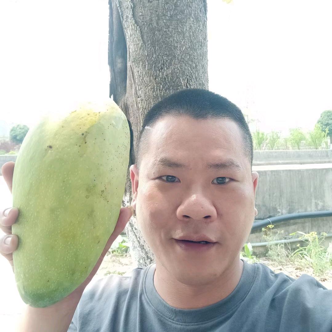 金生水起