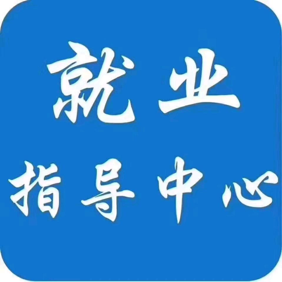 老胡聊就业