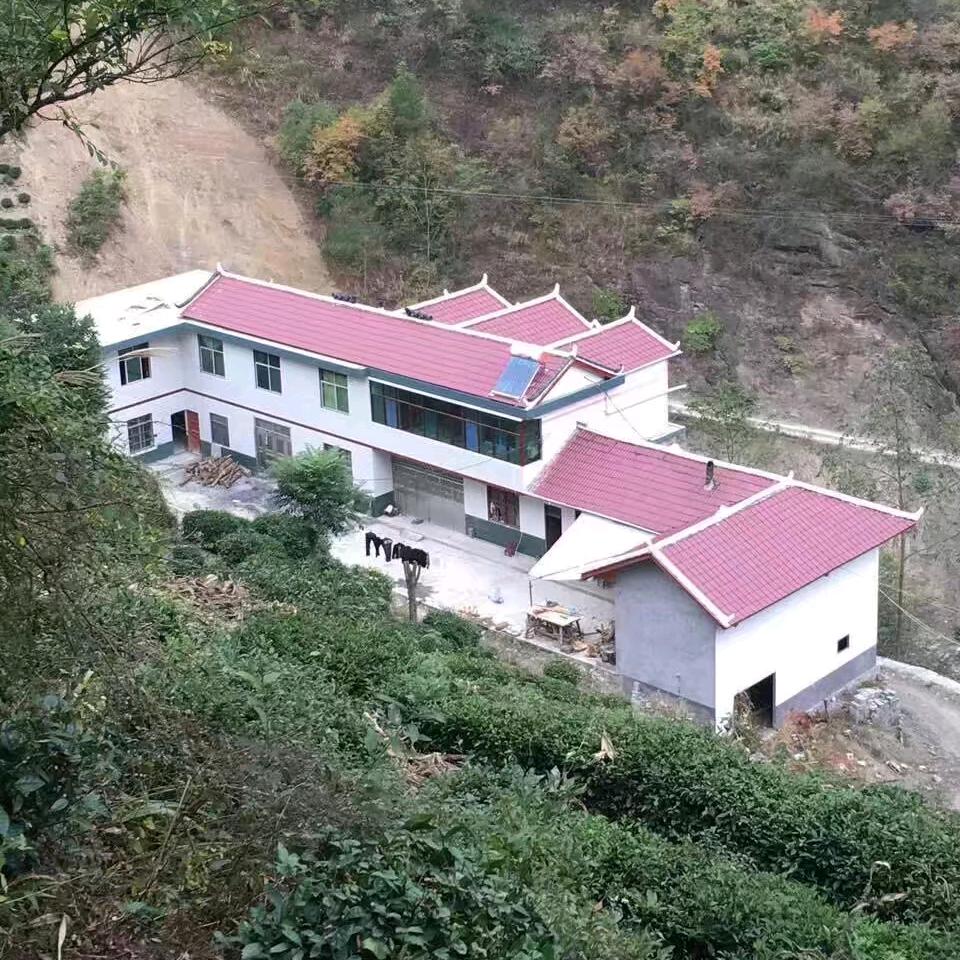 无怨无悔