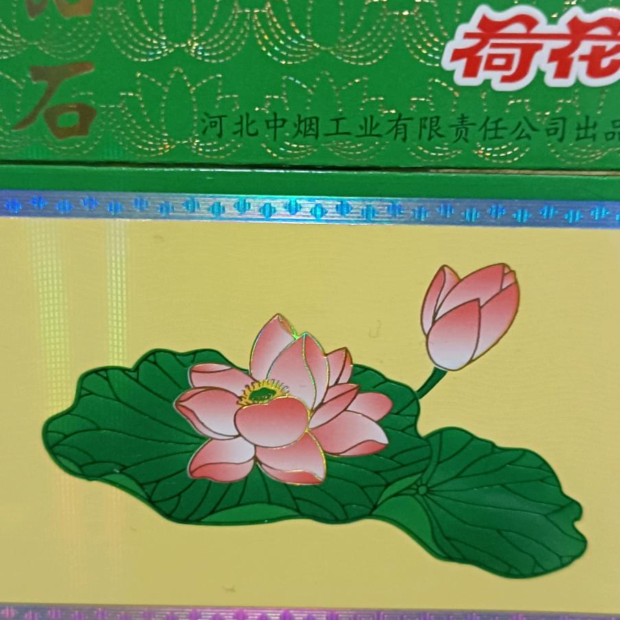摘下满天星