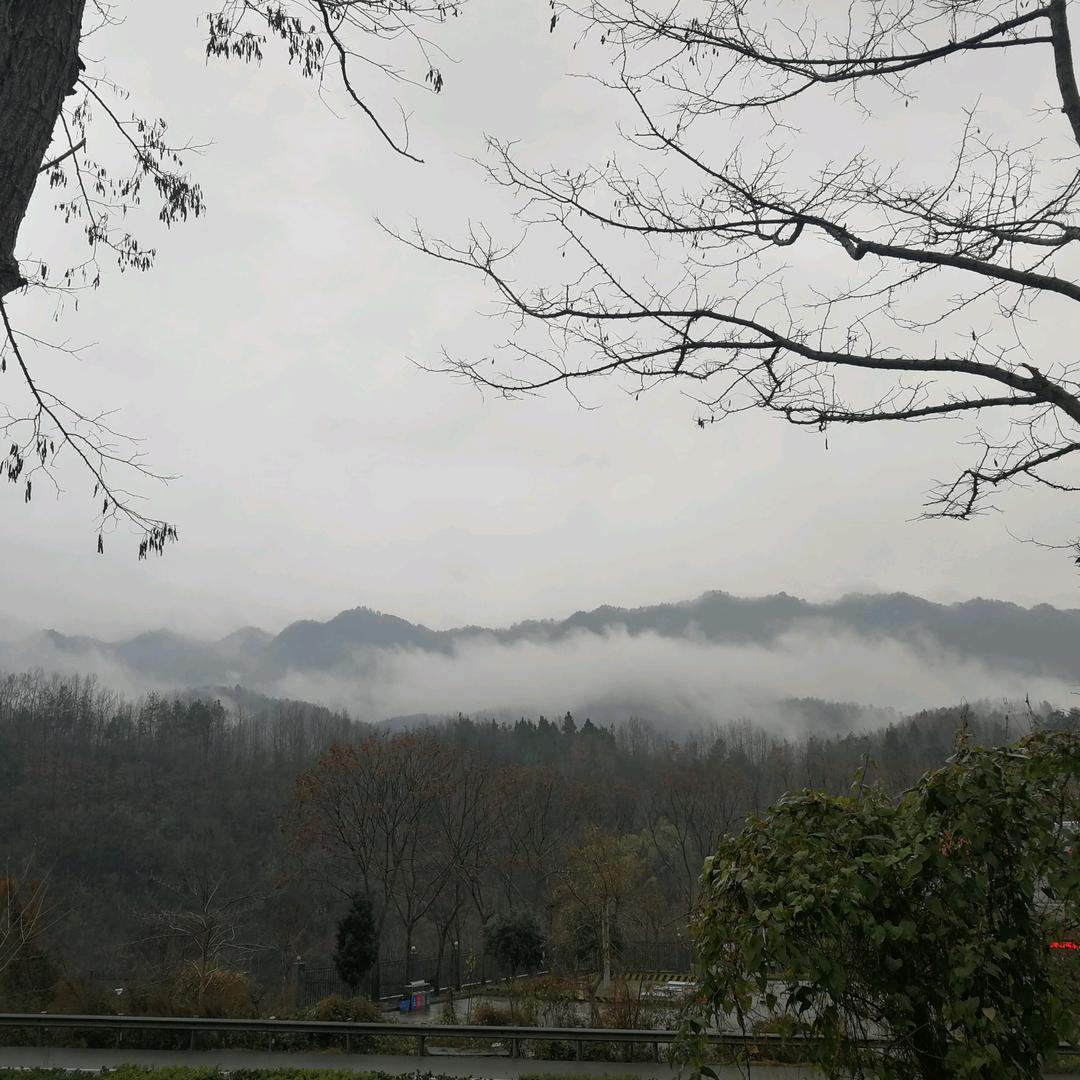 #此人有毒#
