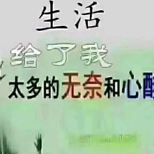 💞࿐李ღ᭄᭄💞࿐