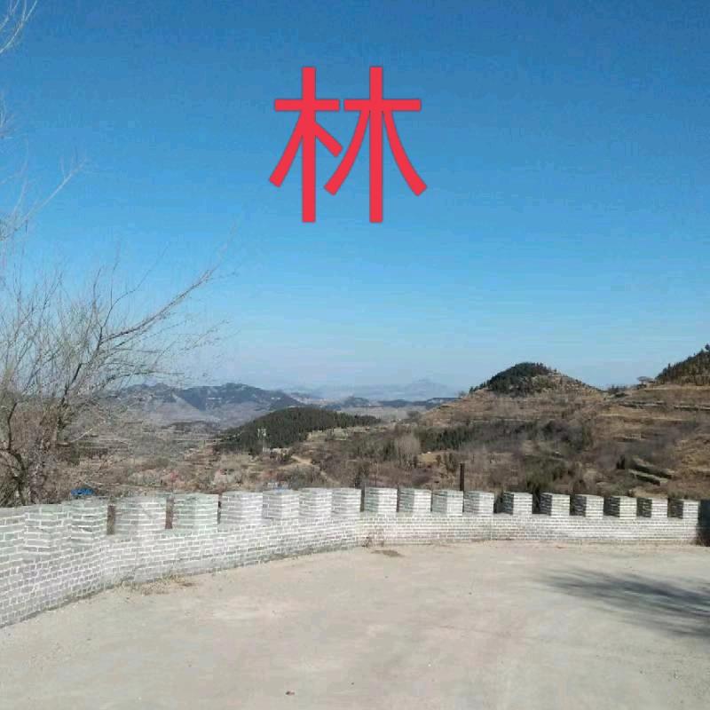 真情无价