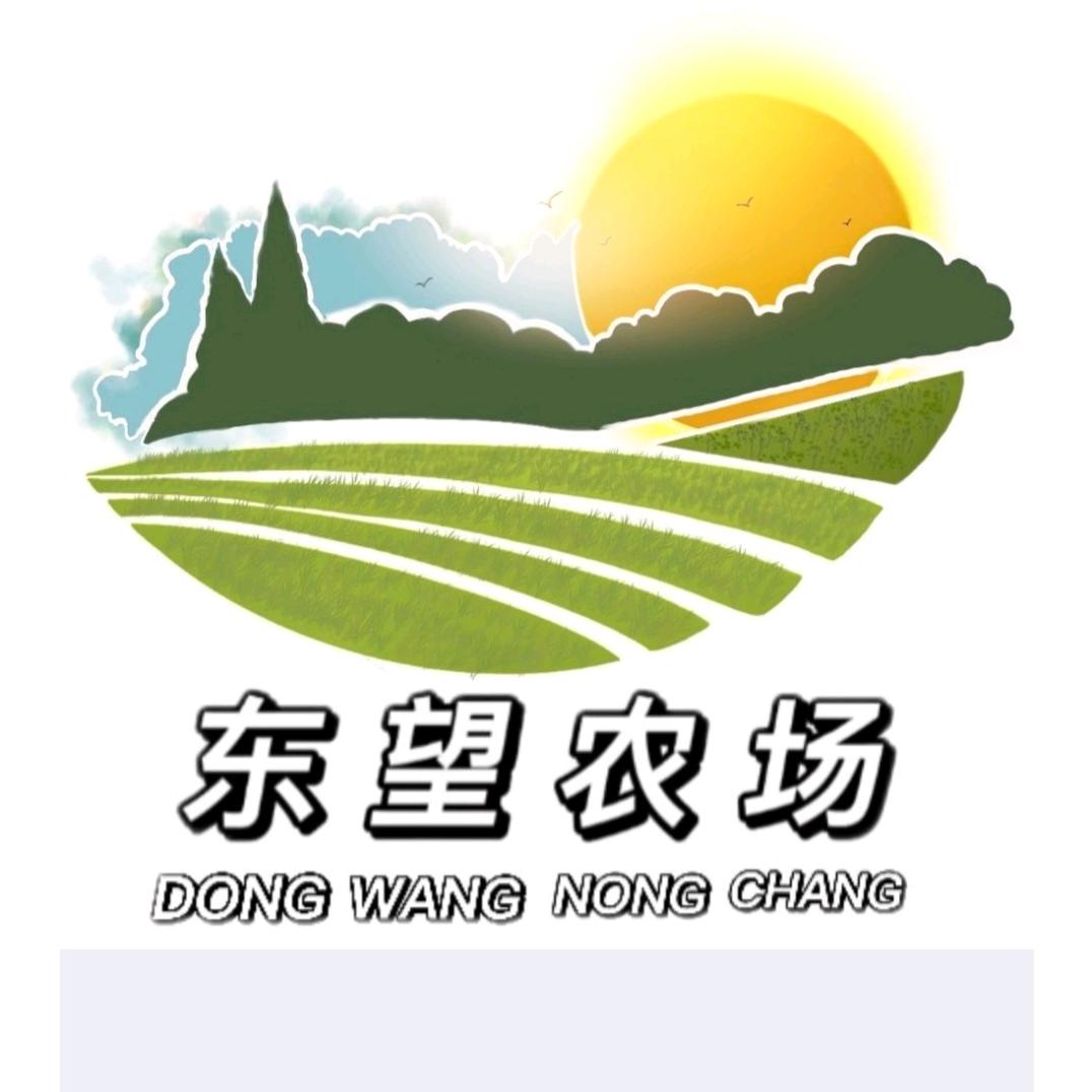 东望农场小张