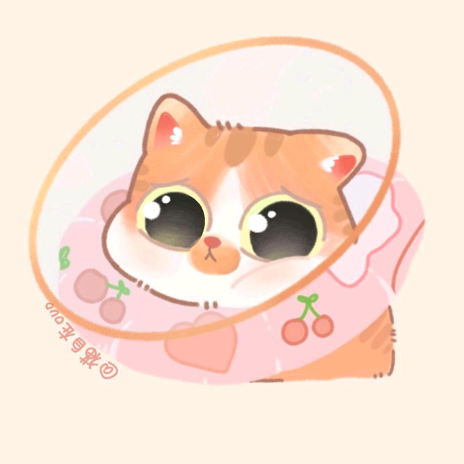 猫自在ovo