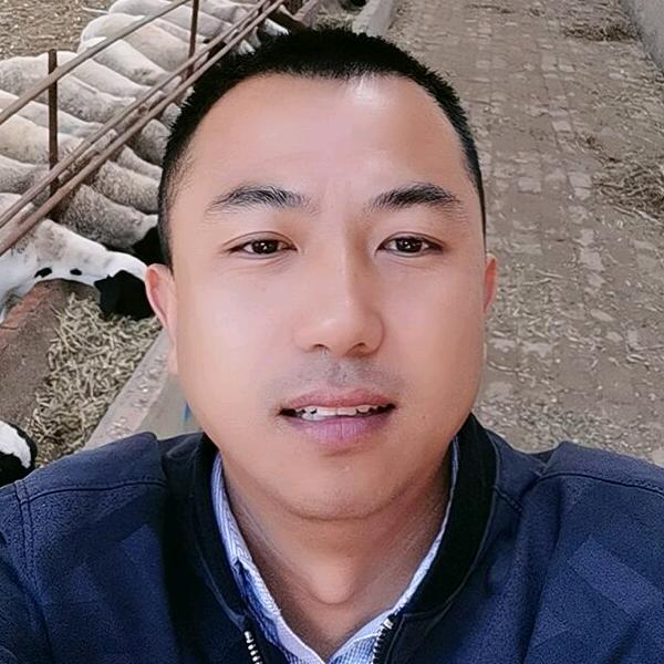 景川牧阳羊毛剪  丁雷