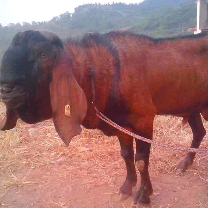 鑫鑫宇家庭农场