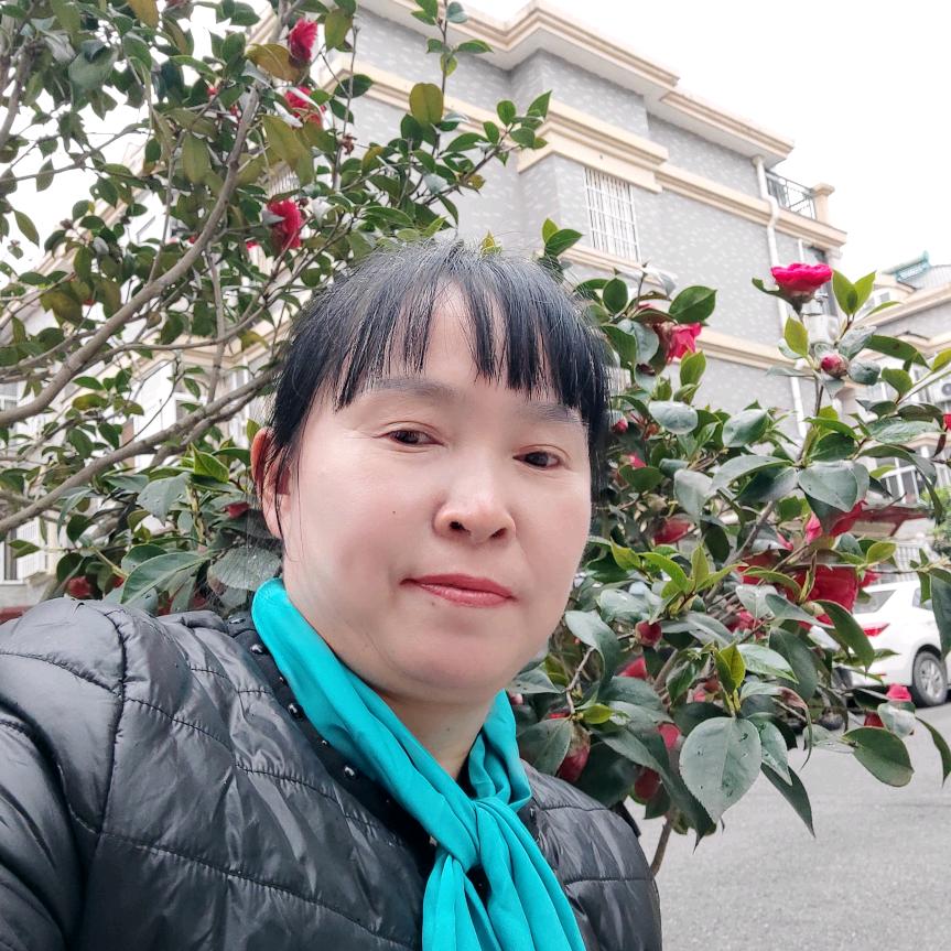 陈夫人
