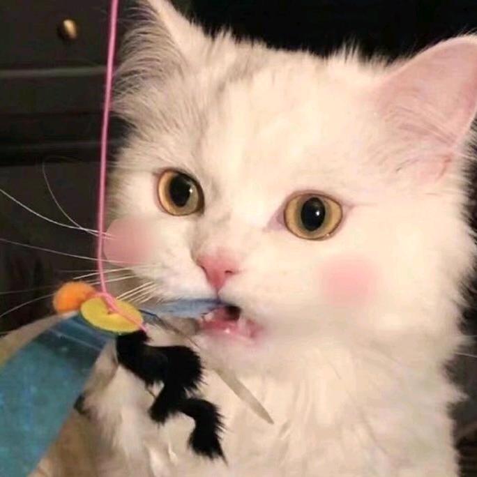 竹生.