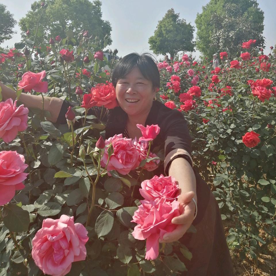 荣华富贵