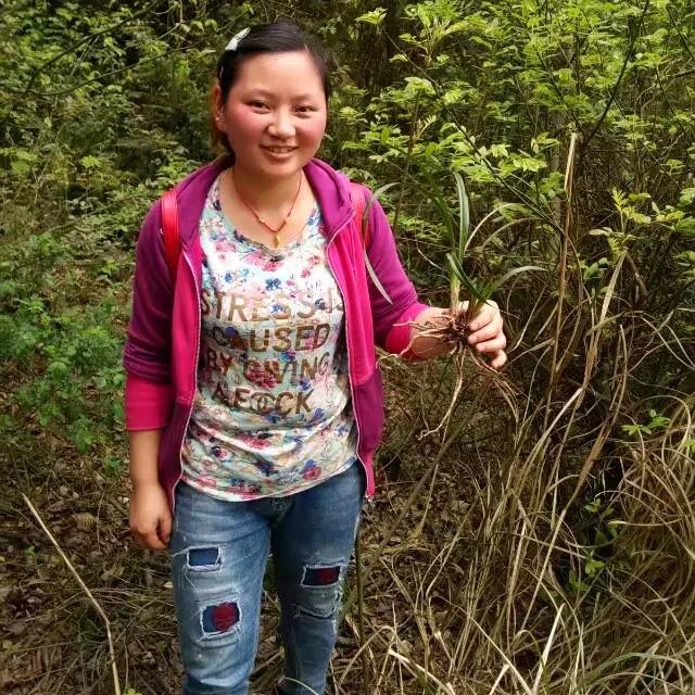 小芳优品兰花