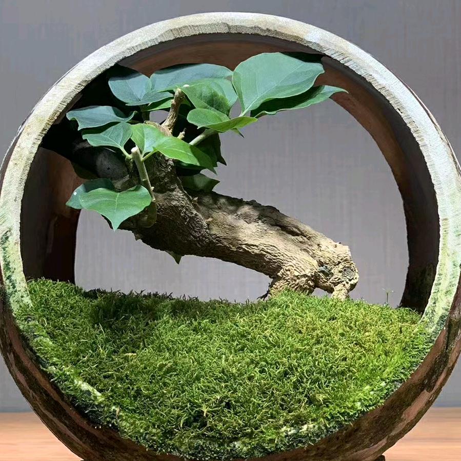 大家好才是真的好