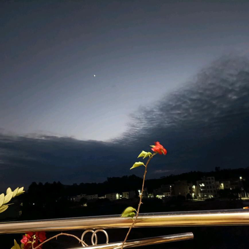 芒果西米露