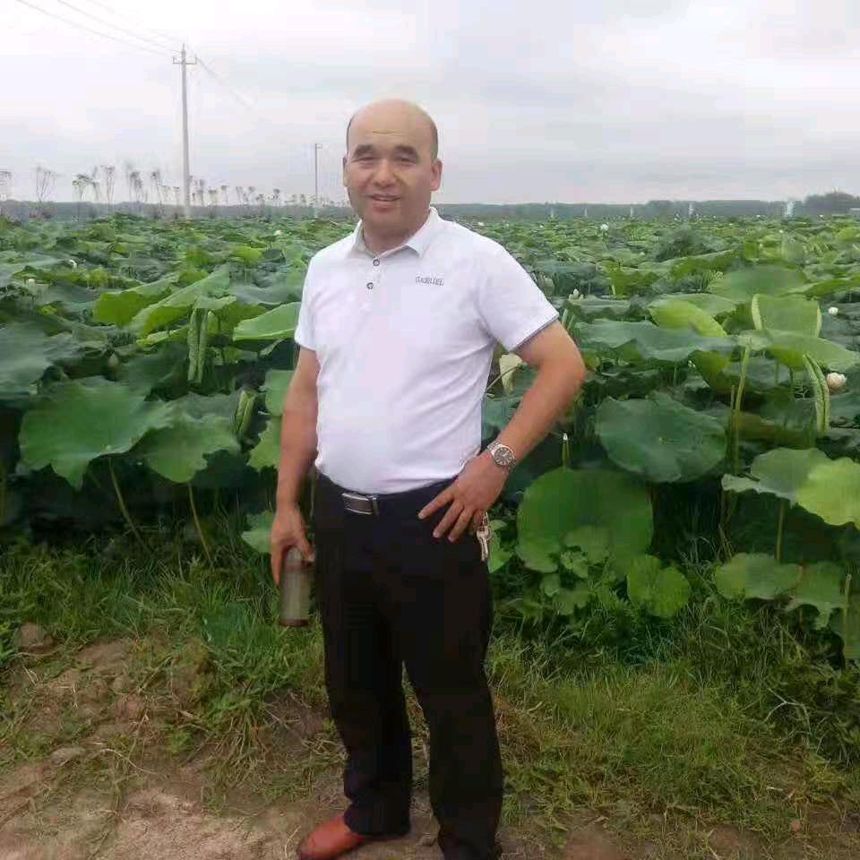 张家龙