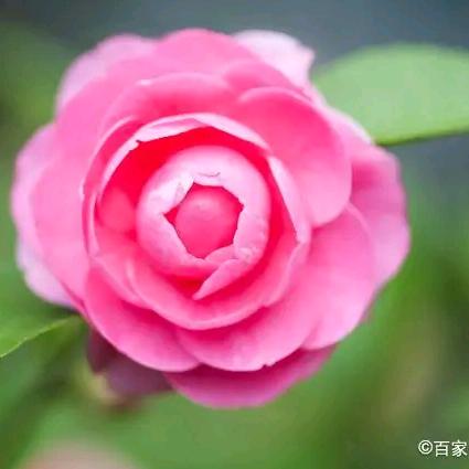 🍀៚᭄微笑🍀前行ॣ࿐ᩚ²⁰²⁴